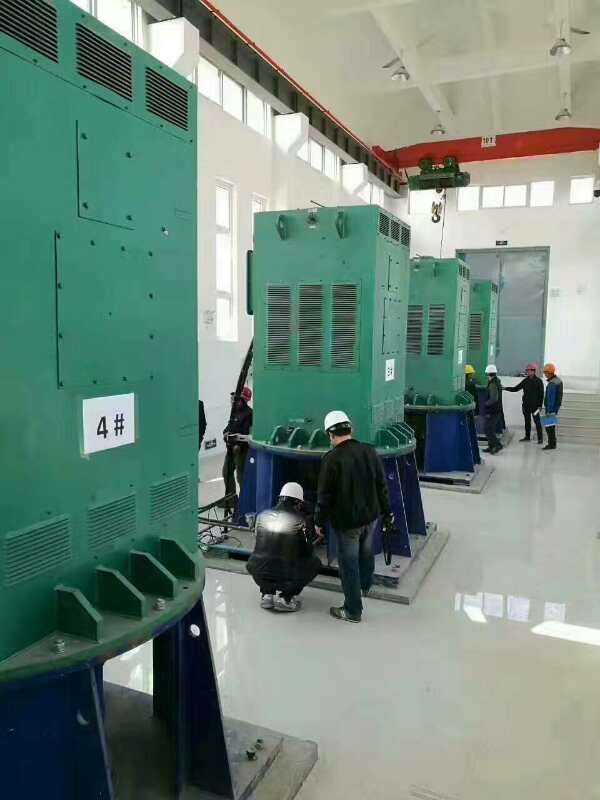 Y560-6某污水处理厂使用我厂的立式高压电机安装现场