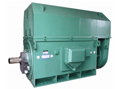 Y560-6Y系列6KV高压电机